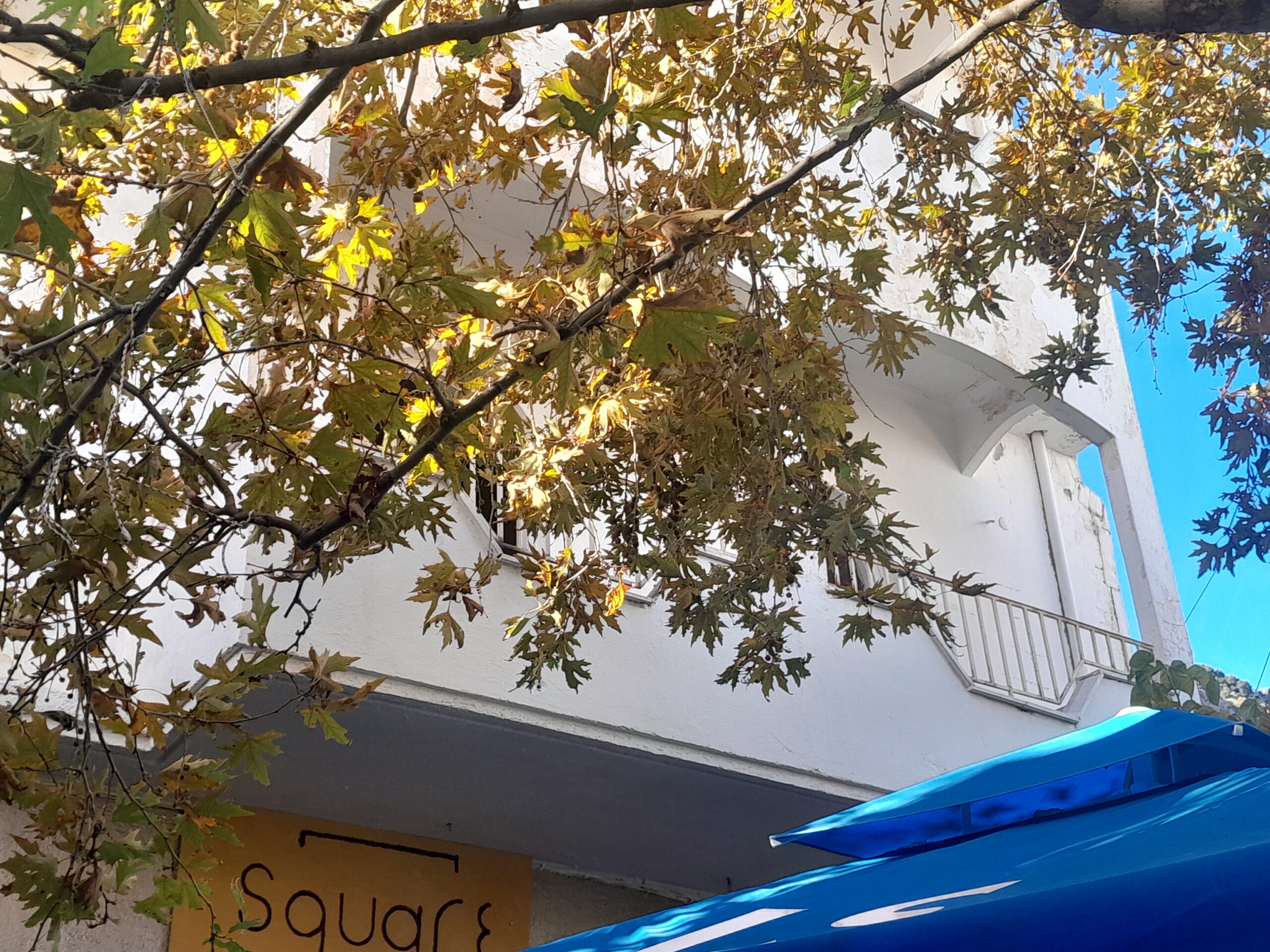 FOR SALE – Fully Renovated First-Floor Apartment in the Central Square of Kritsa - thumbnail 6