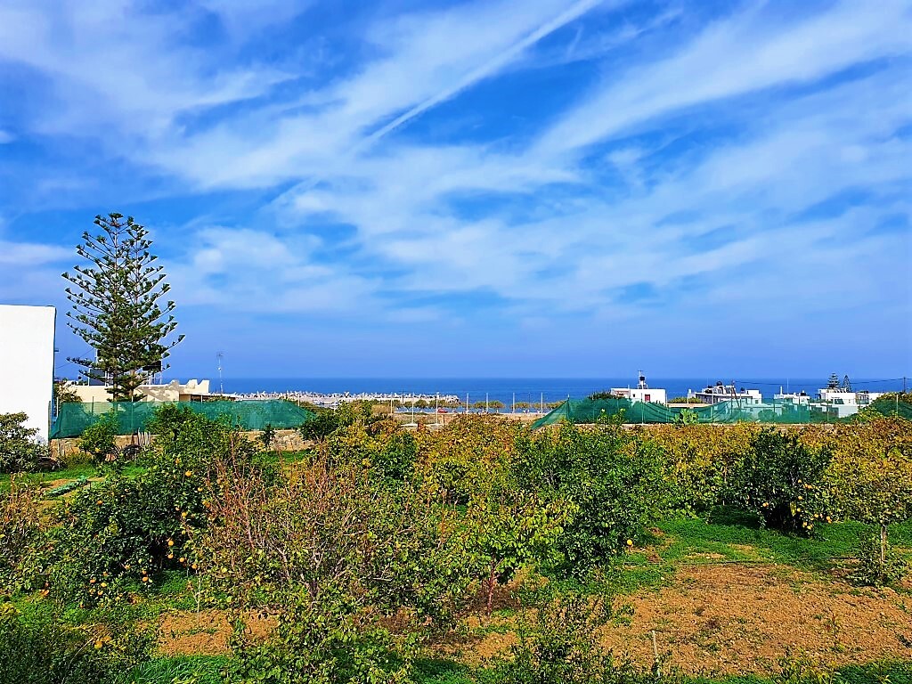 Bâtiment 380 m² avec piscine, 500 m de la mer - Paralia Milatou - photo 5