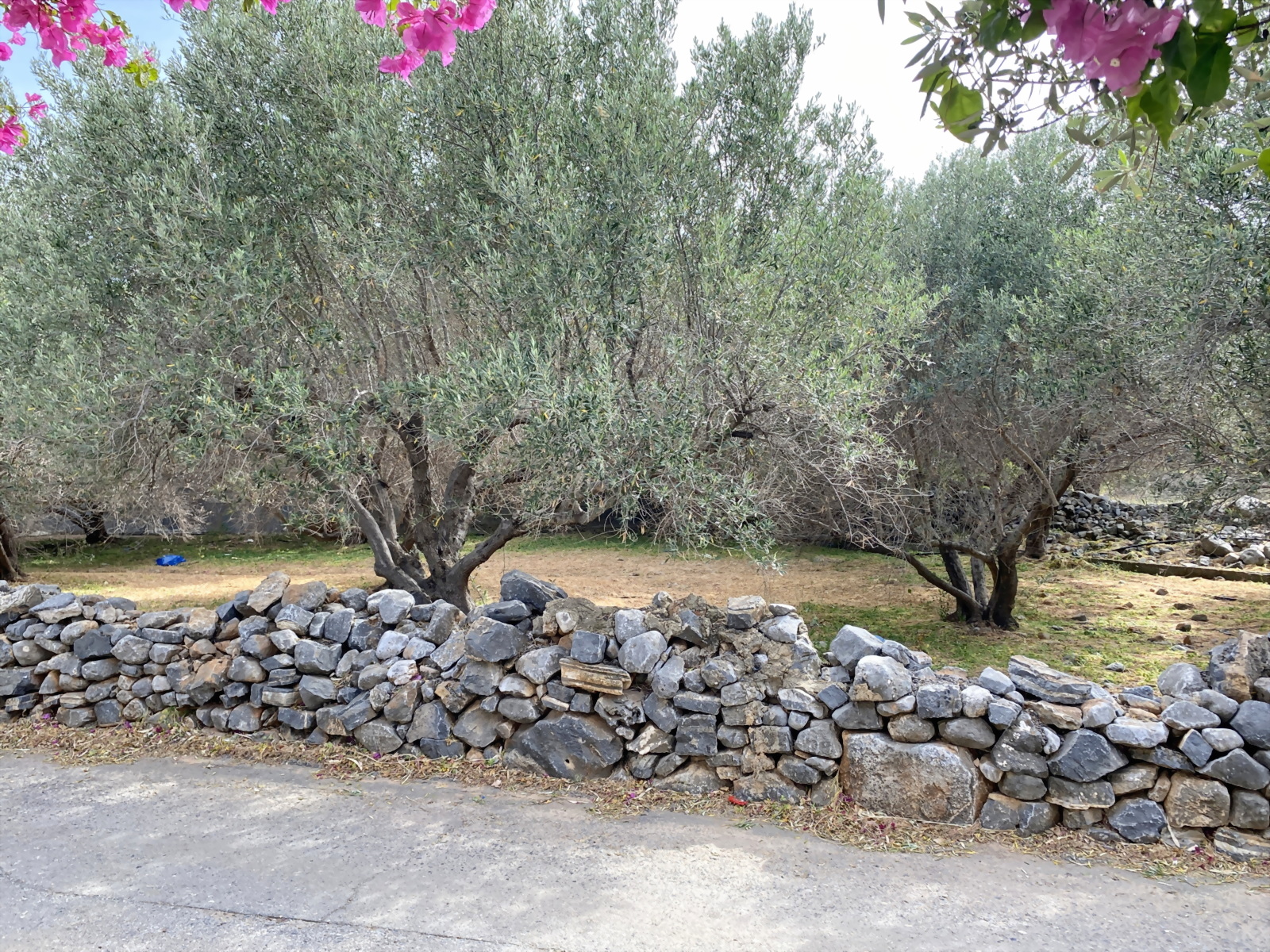 Well Kept Home & Holiday Rental Business For Sale A Few Meters From Elounda Port And Amenities - photo 5