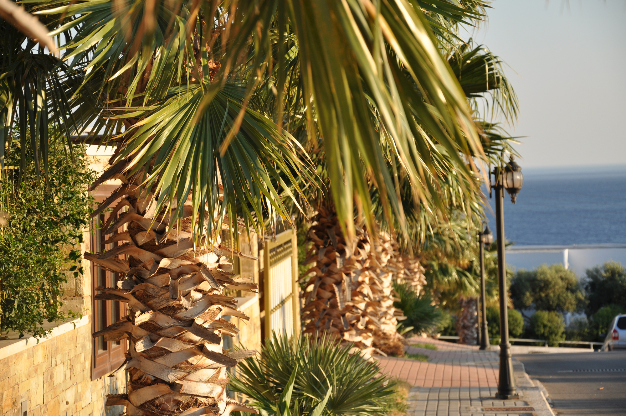 Complexe de villas de luxe avec piscine - miniature 10