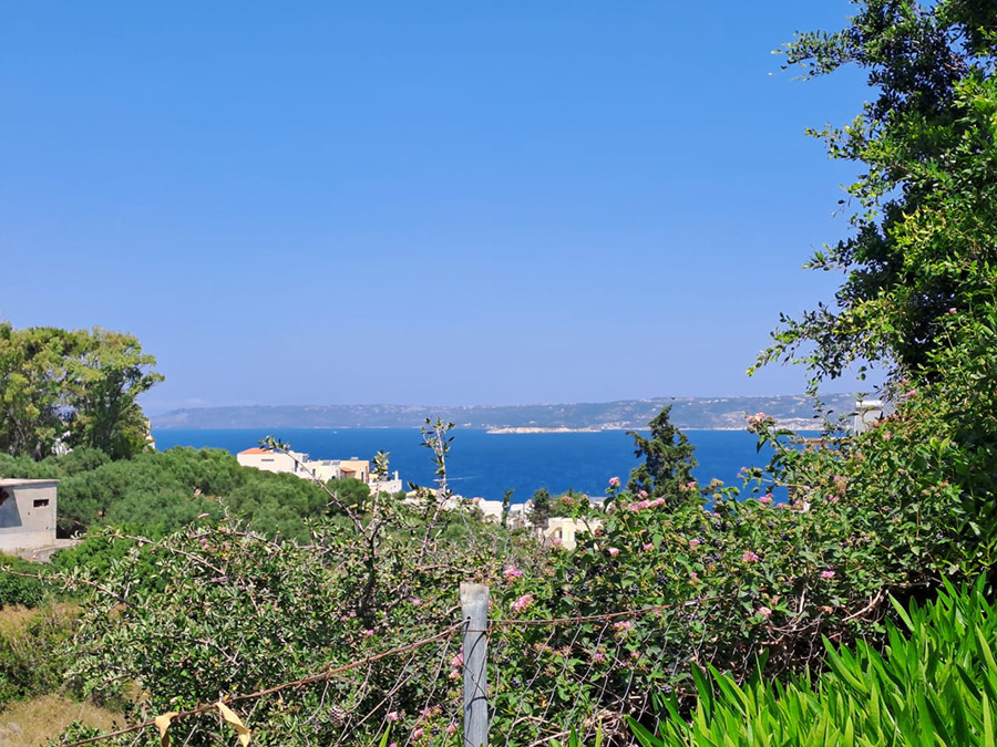 Maison 5 chambres avec piscine et vue mer à Plaka - miniature 6