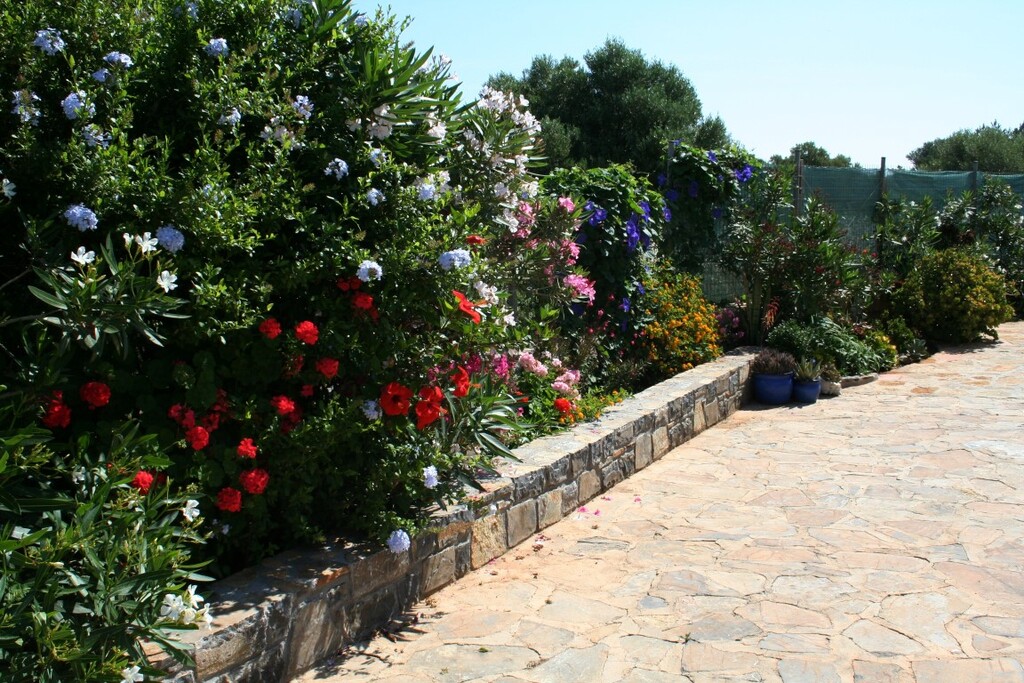 Villa 290 sqm with pool - Vathi - thumbnail 10